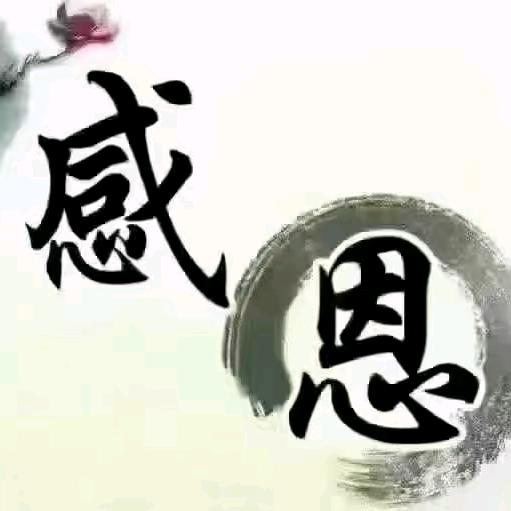 东阳市村鸟电子商务商行