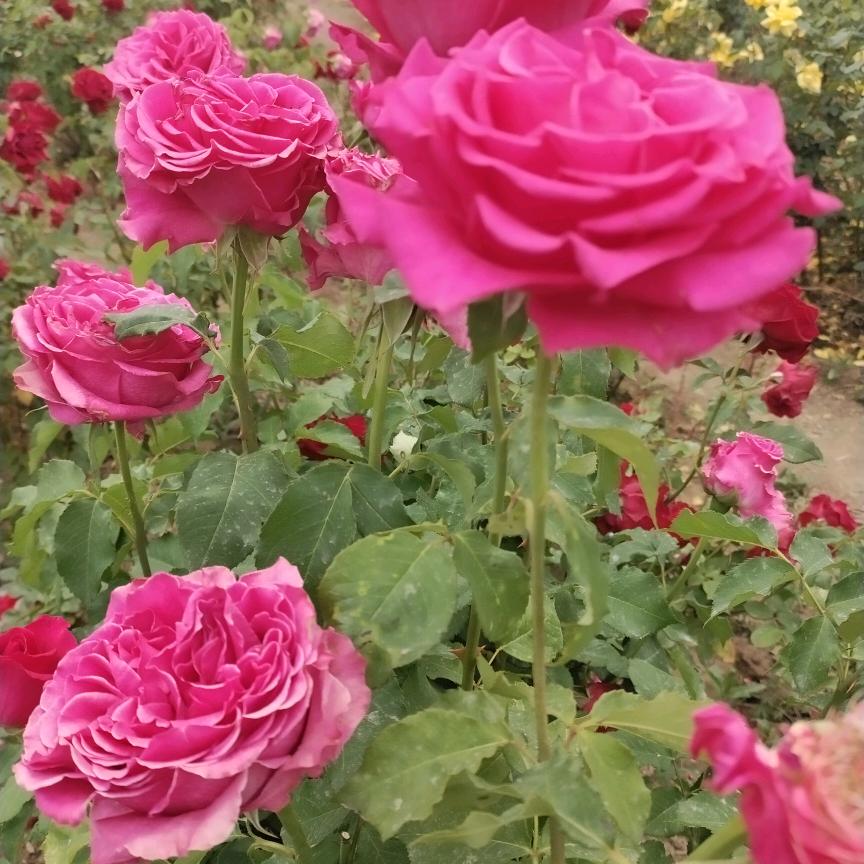 滕州市新兴女士美容美体店