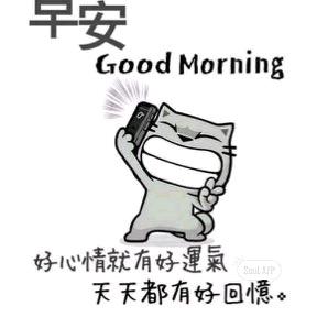 绽放mn