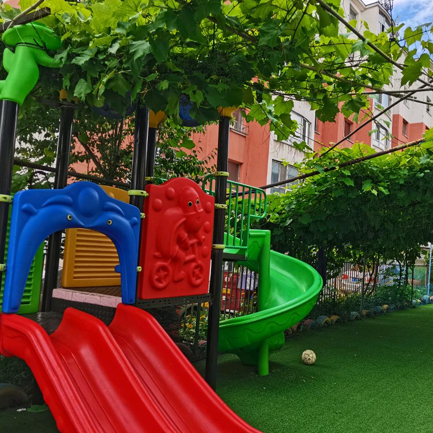 雅咪加绿植幼儿园王英