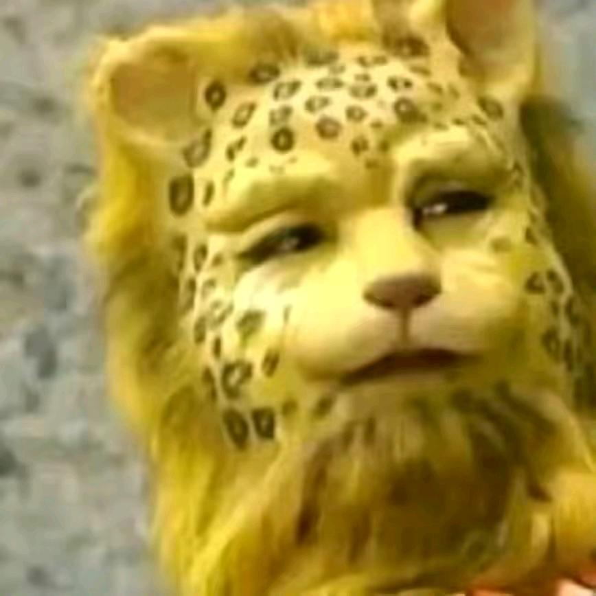 爹