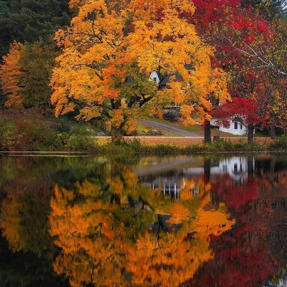 💞不ꦿ᭄念ღ过᭄ꦿ᭄࿆往ꦿ💞