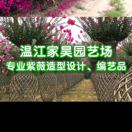 温江家昊园艺场