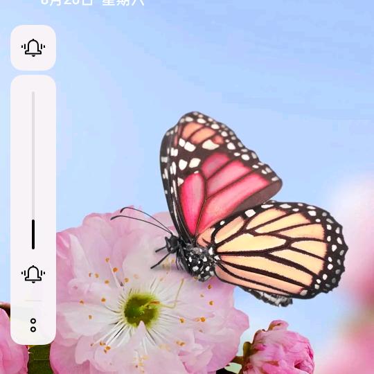 王胜平