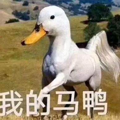 东北驴🐴买卖