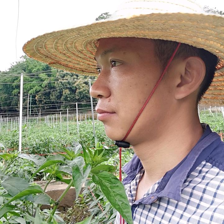 伍启林