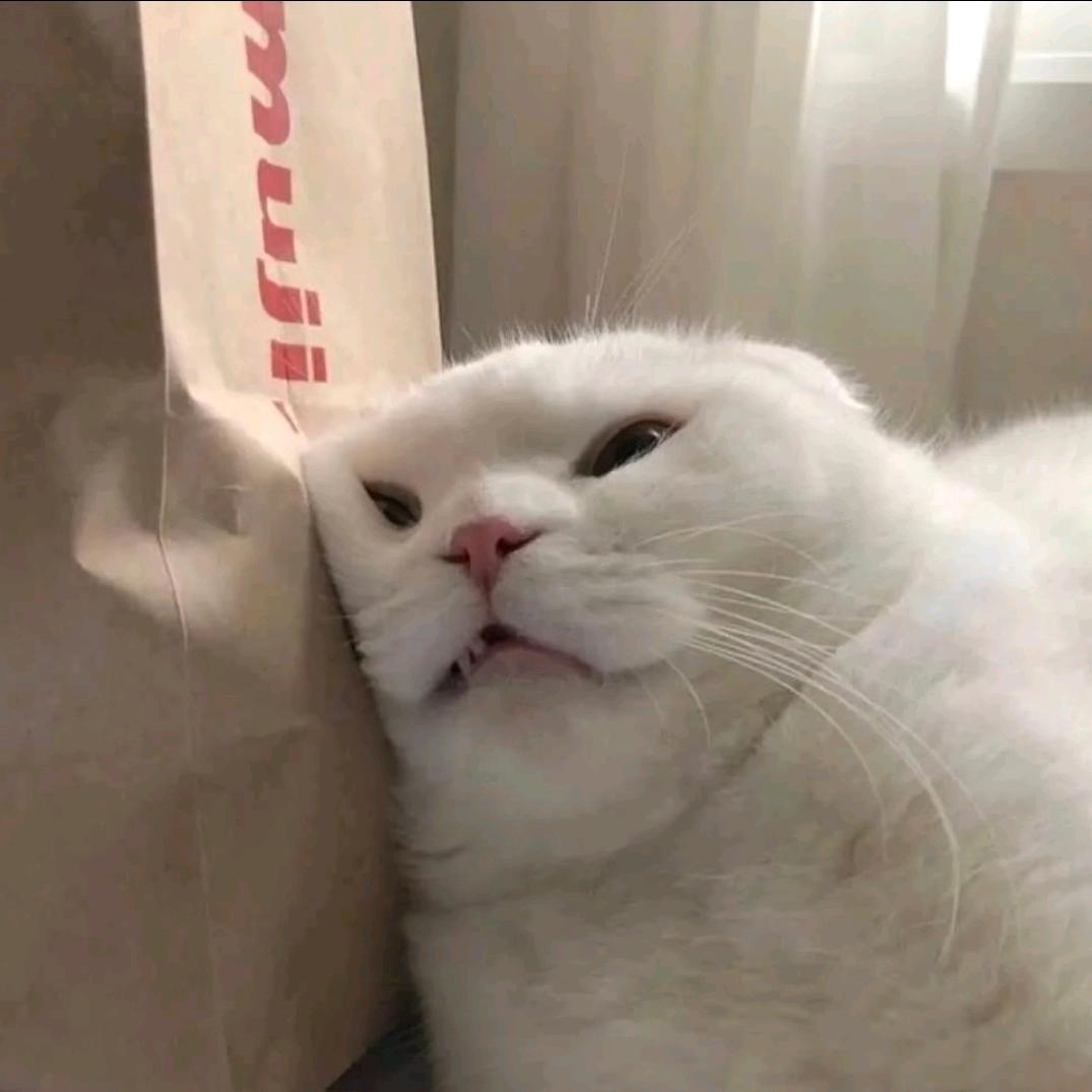 TizUz.