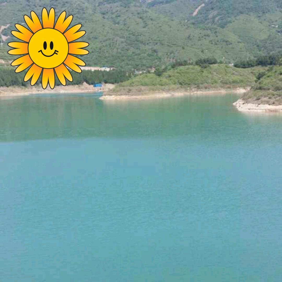 车主是我