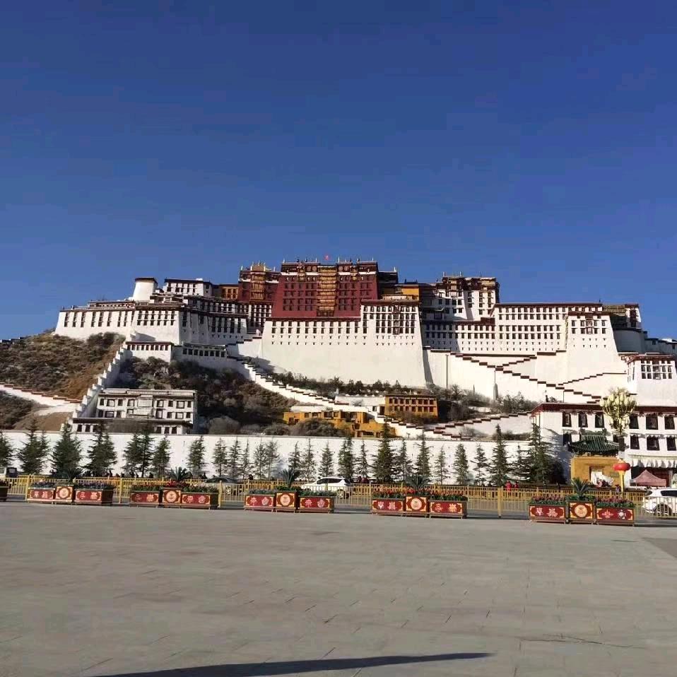 顿丘人在安徽