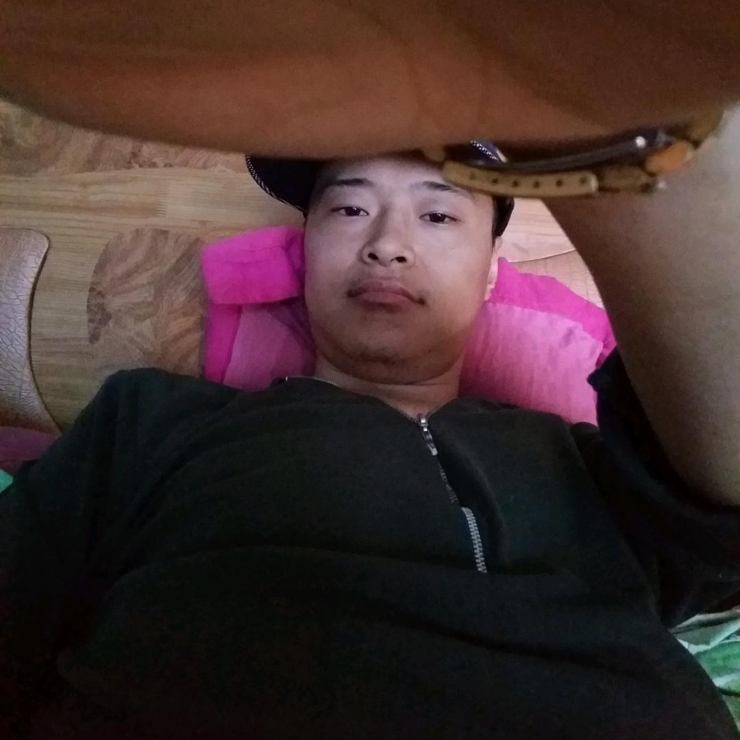 赵洪