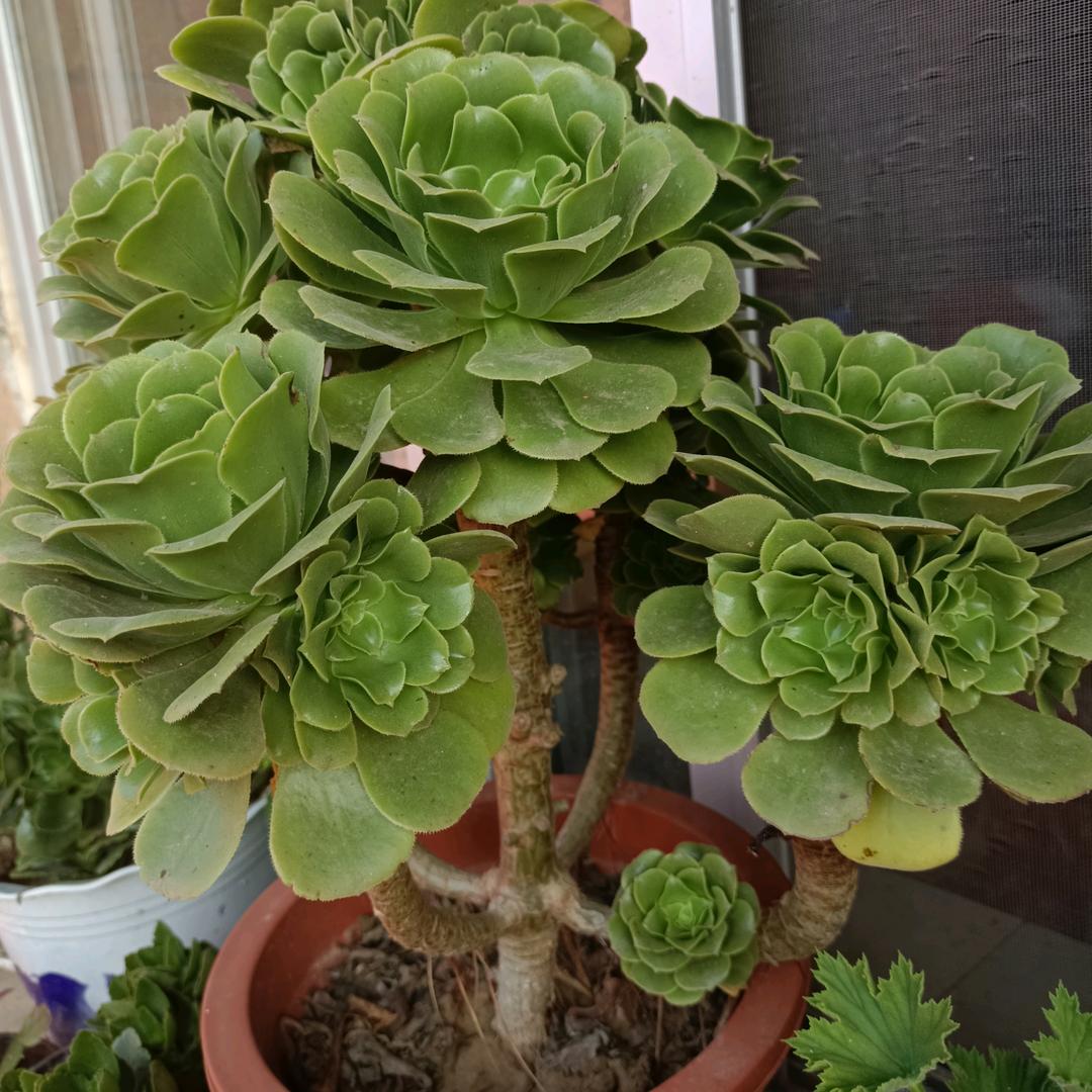 天生我财
