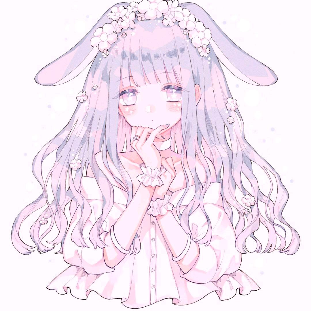Kiku