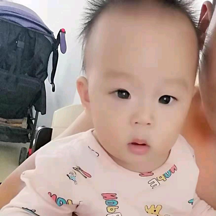 紫去东来