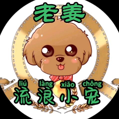 盘锦流浪动物救助老姜