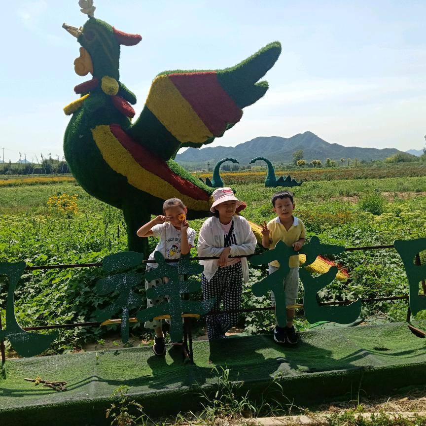 家有三个宝贝。