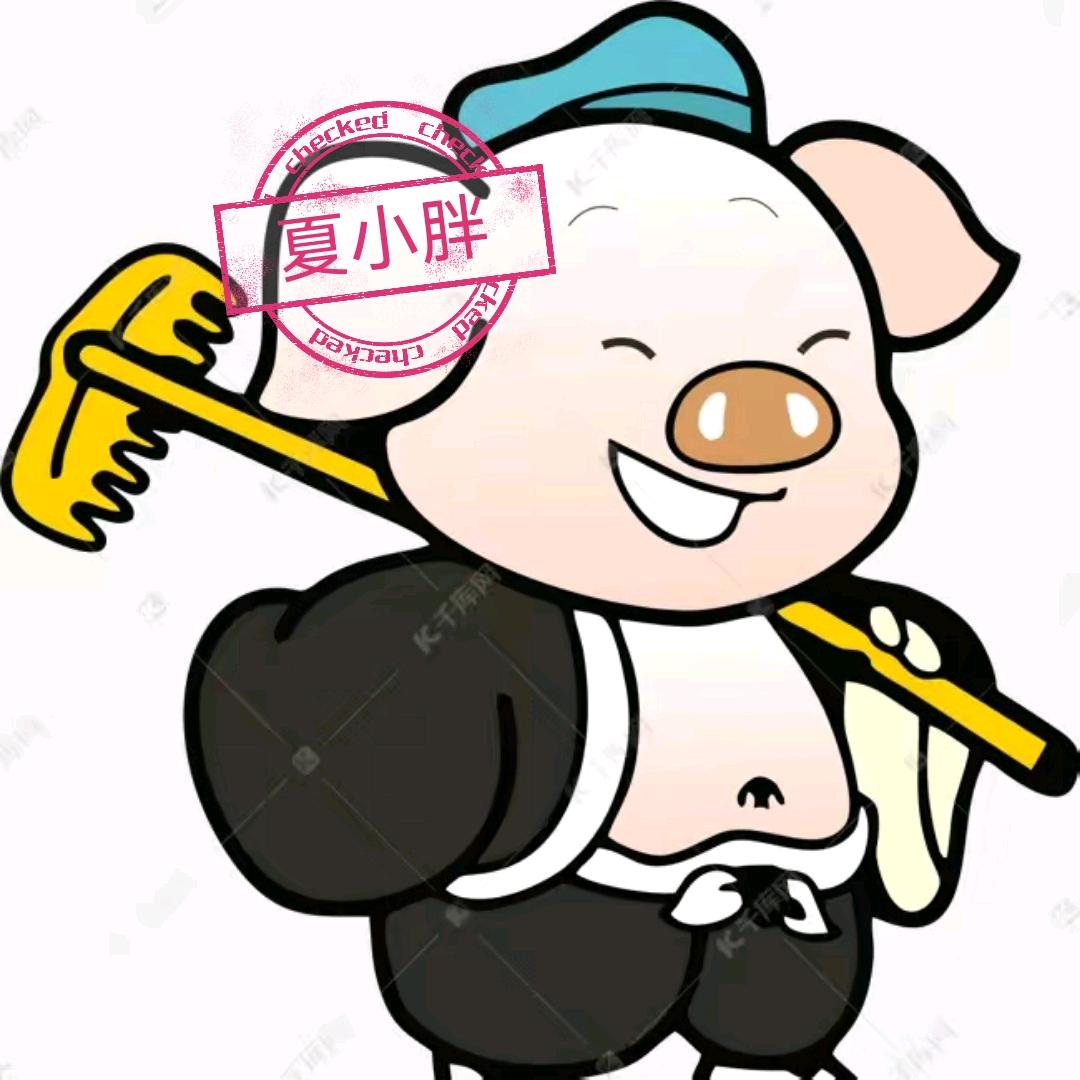 夏小胖（不锈钢）