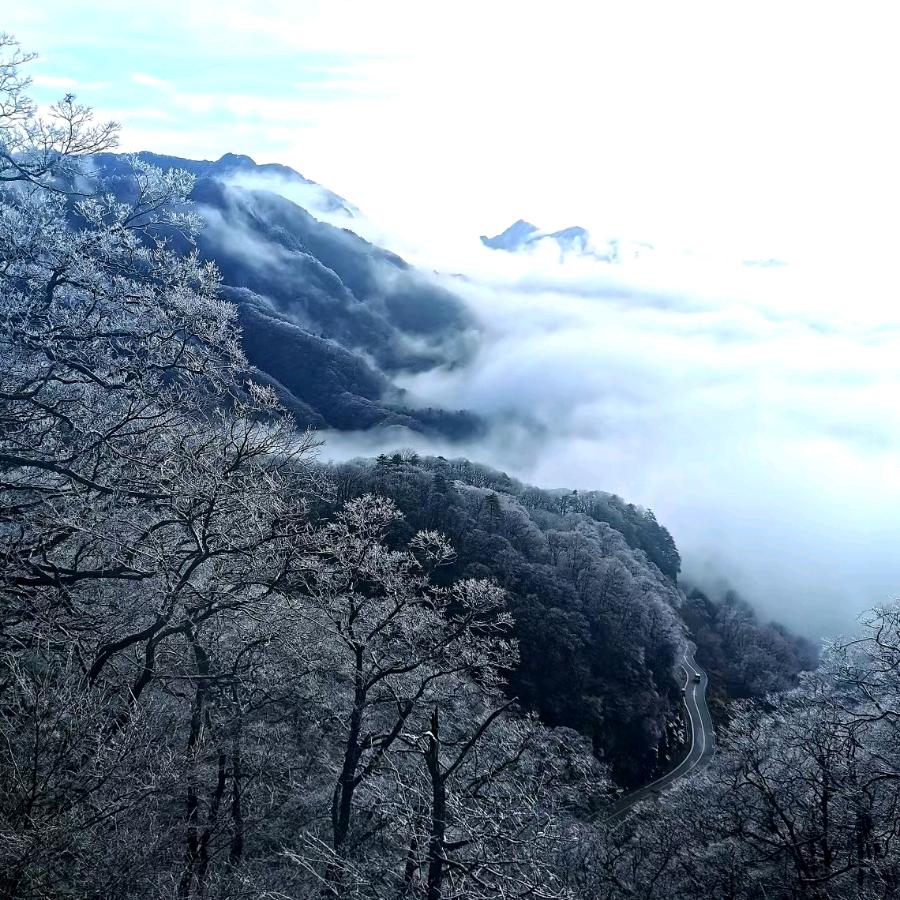 马鬃岭旺奇农庄～吴章东