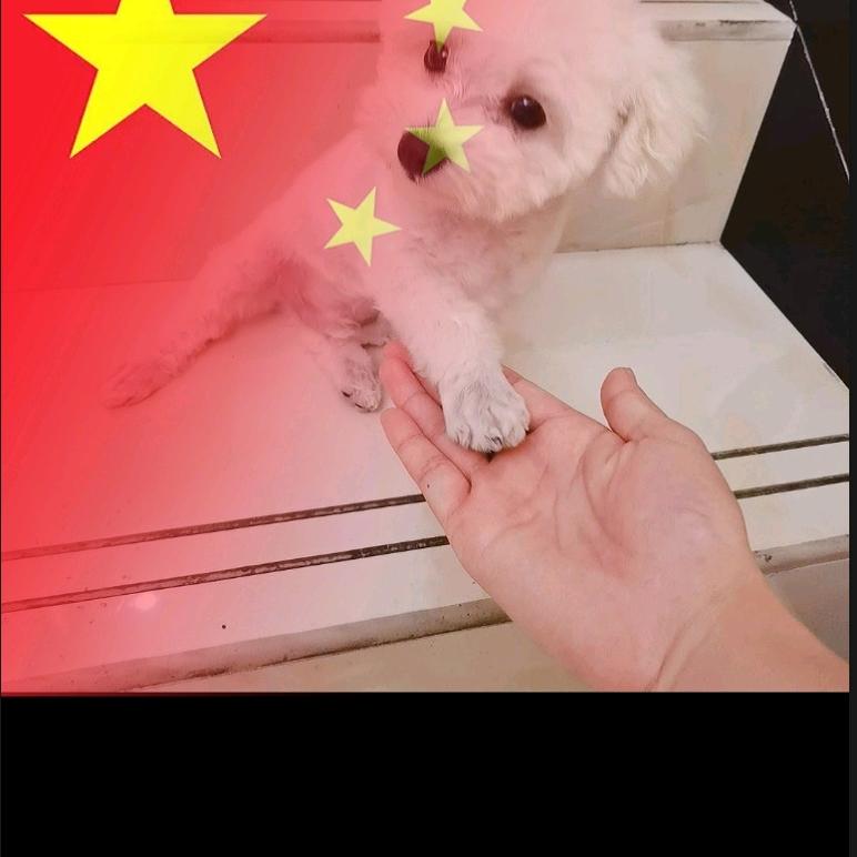 终不悔