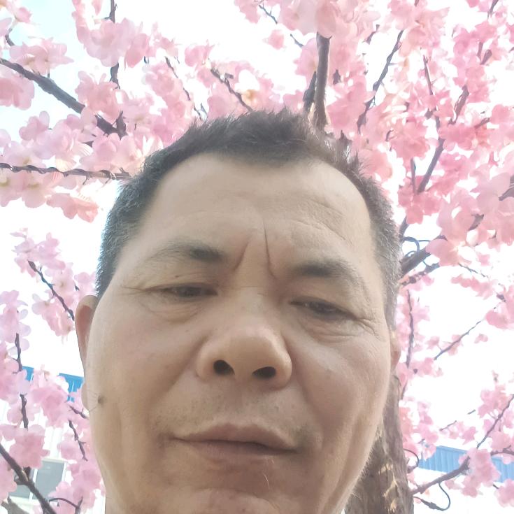 忍字歌