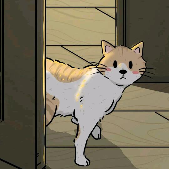 不善言辞的猫先生