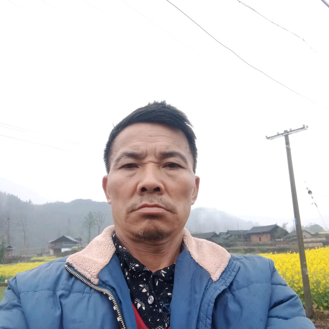 老龙