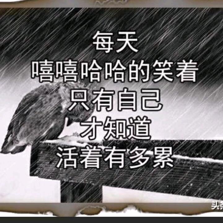 奋斗吧，