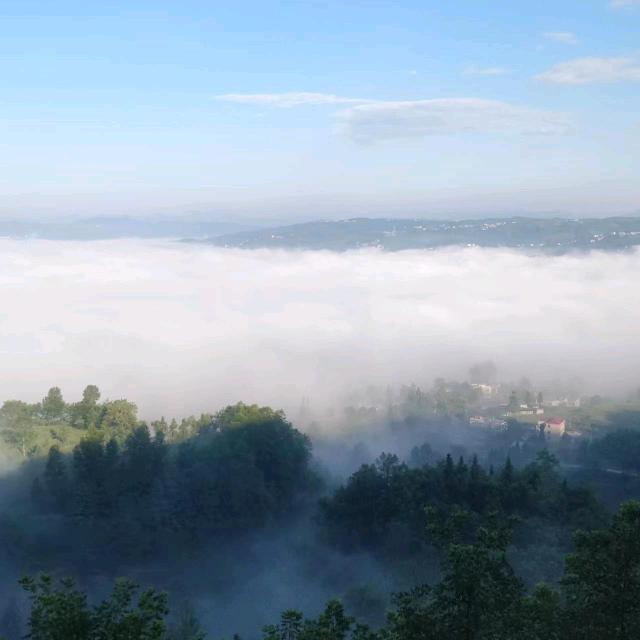 风云国手(点赞有奖😍😍)