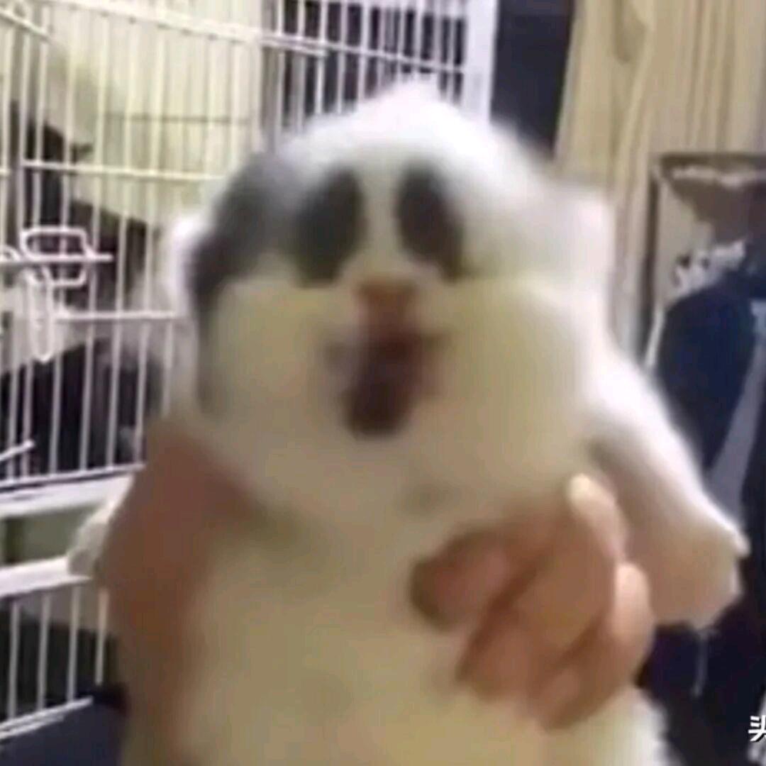 天国丧钟