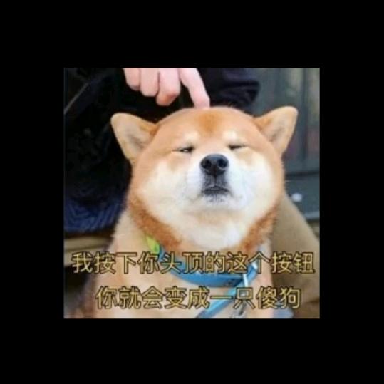 will