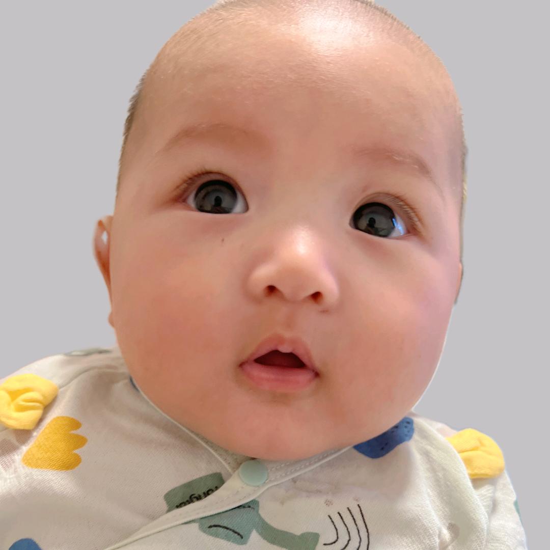 大眼小晚崽
