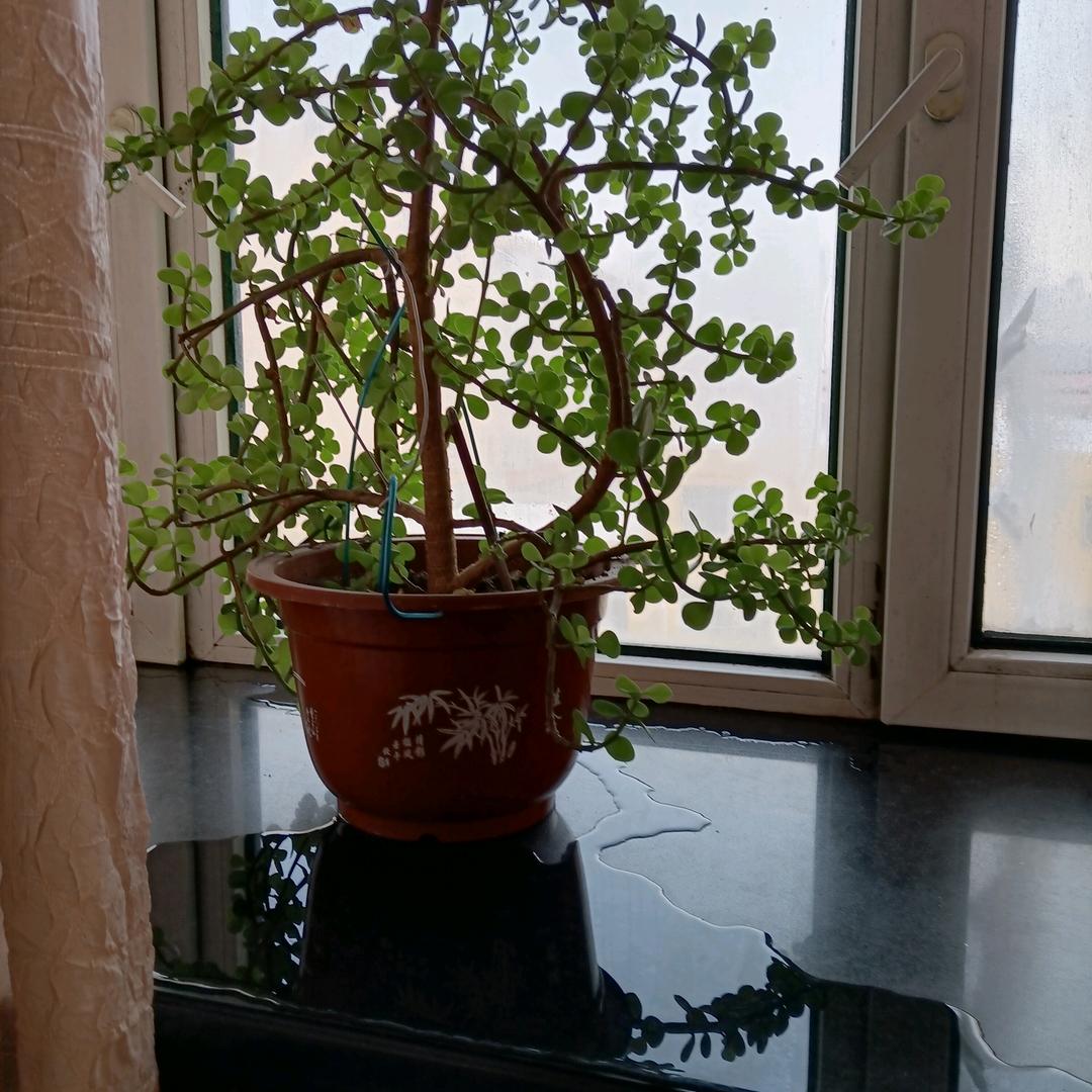 精彩一润