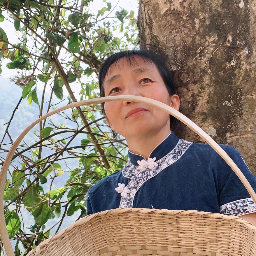 茶仙婆