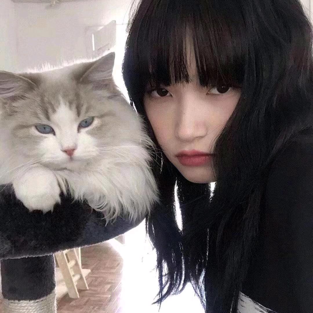 小羊贝贝