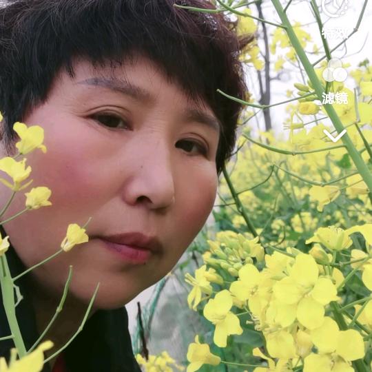 喜欢农业的老李