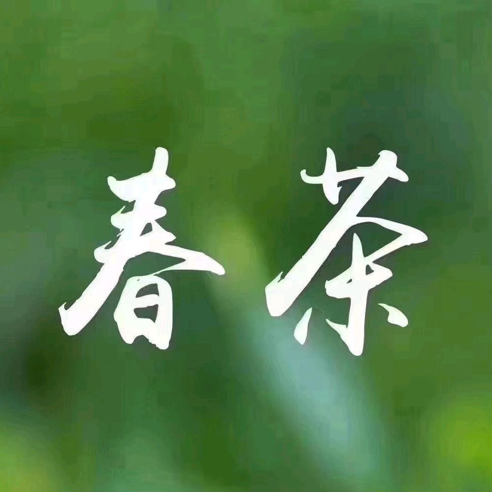 小陈铁观音