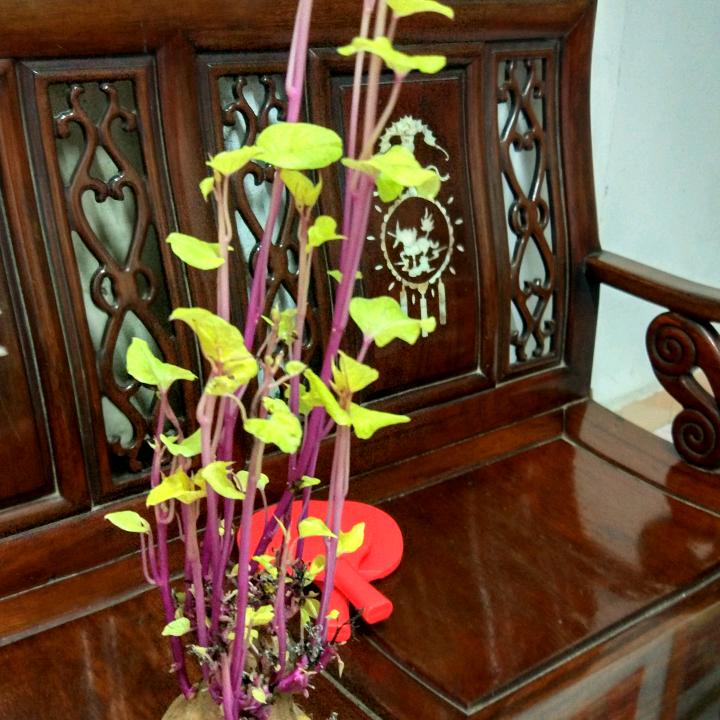 月圆