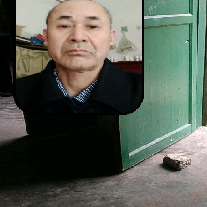 夏向