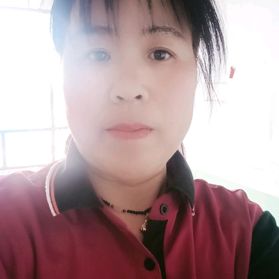 清雅竹韵