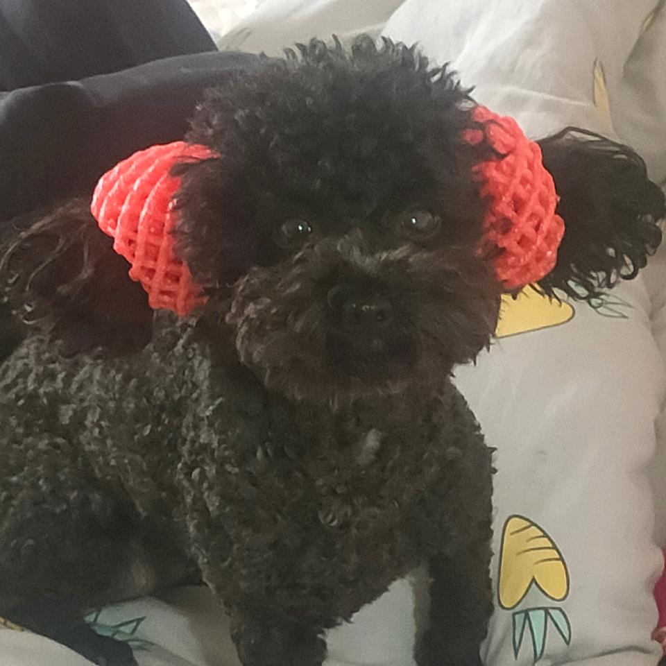 八九不离石女士