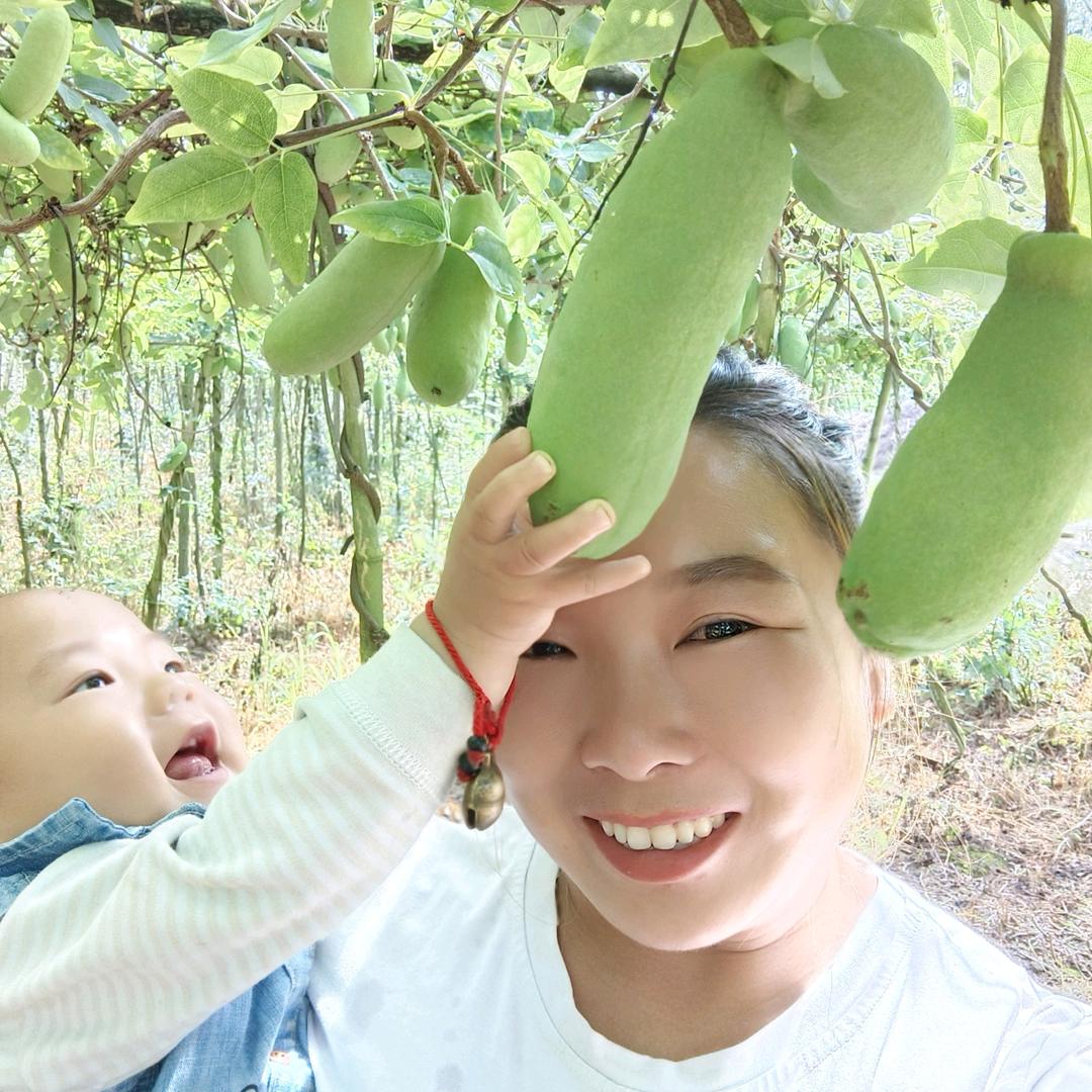 华姐紫宝八月瓜