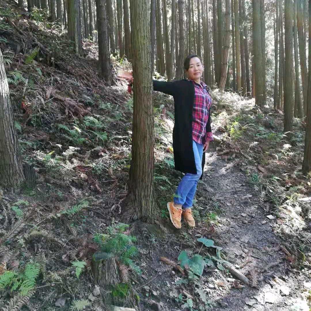 红顺小馆餐饮店