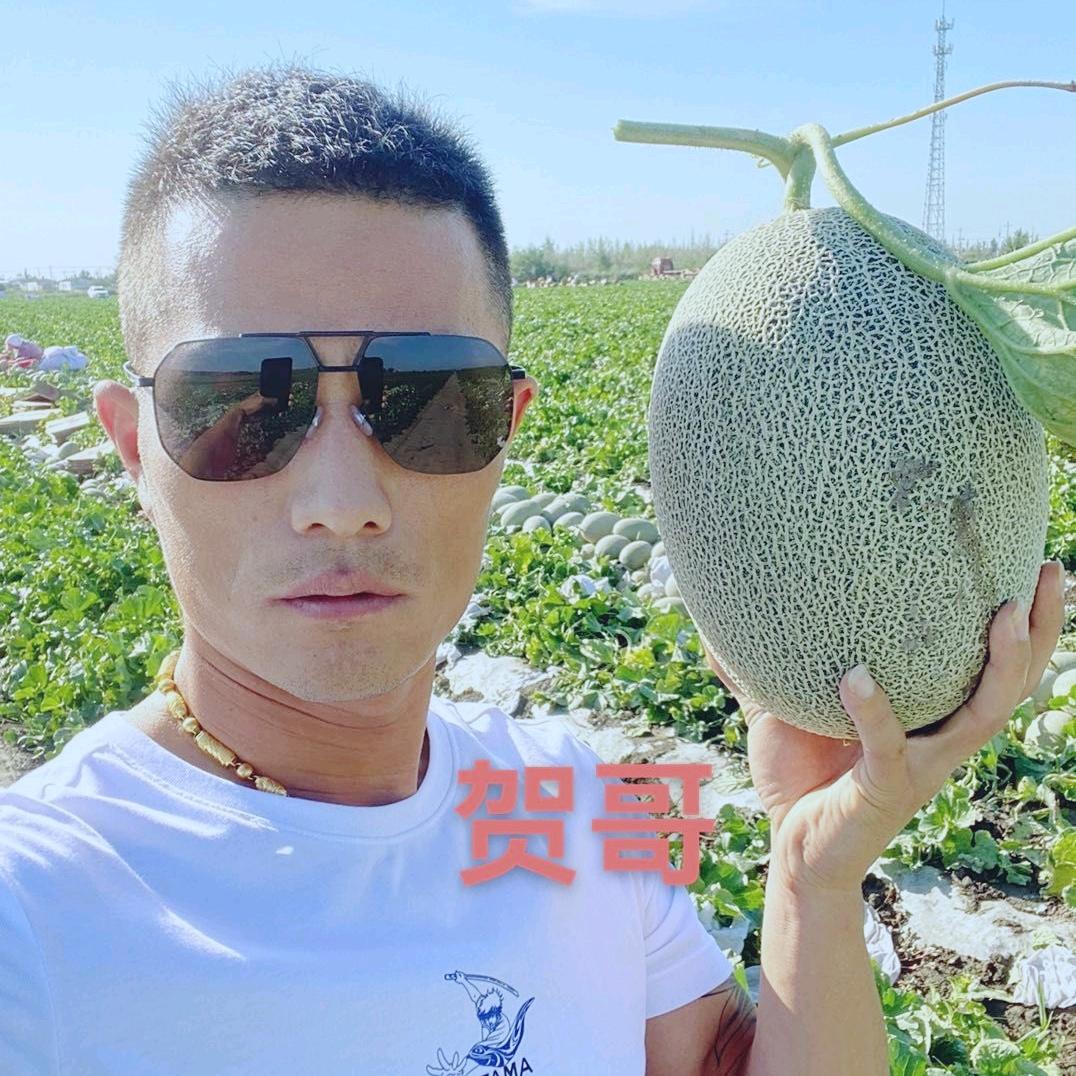 新疆特产小贺哥，西瓜哈密瓜