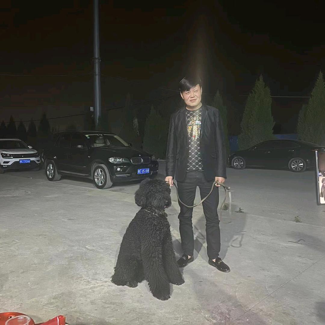 鲁华