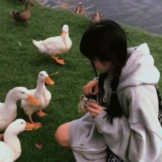 小九儿
