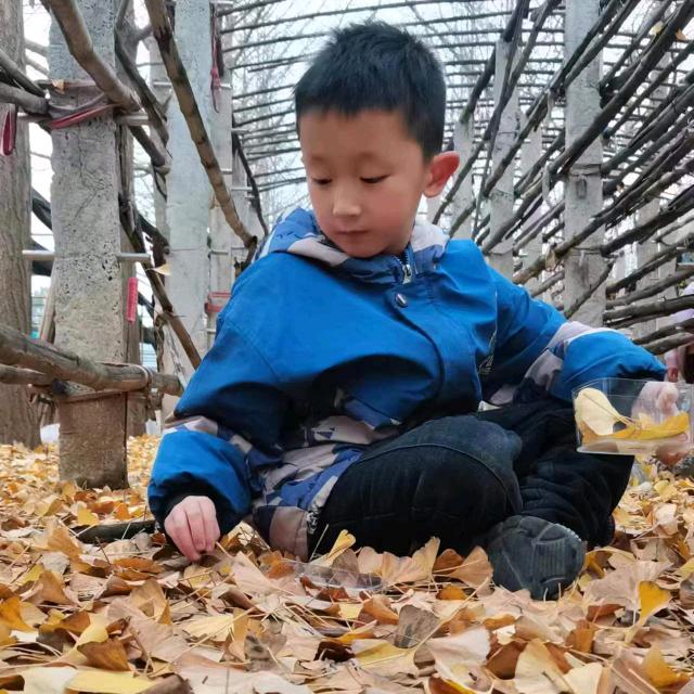 不忍云间两分张