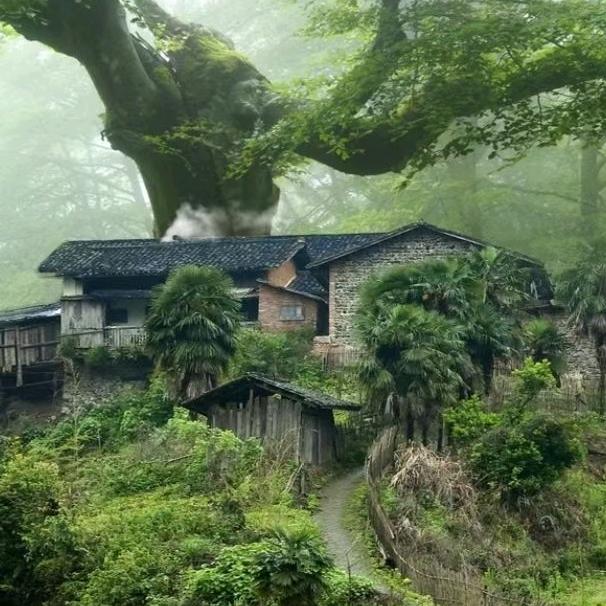 梁轩