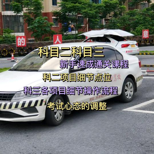 丰顺孙教