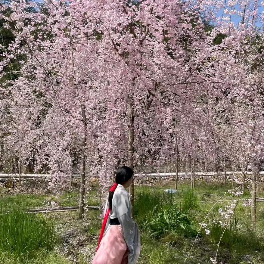 广德县荣成苗木种植家庭农场