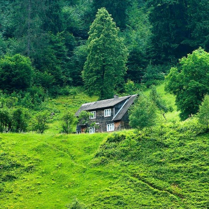 华子