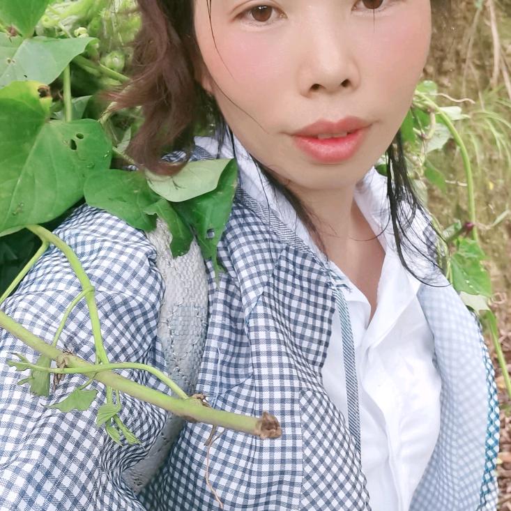 农村幺妹儿（单身）